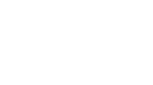 Sea Optics & Co.